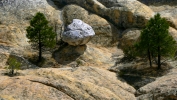 PICTURES/El Morro Natl Monument - Headland/t_Big White Rock.JPG